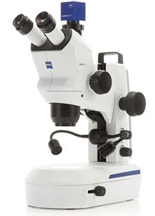 microscope mmoga|Microscope World .